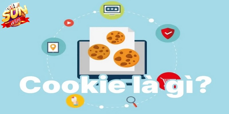 Cookie là tệp dữ liệu được lưu trữ trên thiết bị người dùng khi truy cập website
